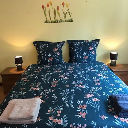 Il Pinguino D'oro B&B