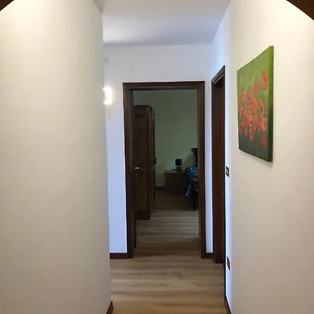 Il Pinguino D'oro Cergnai