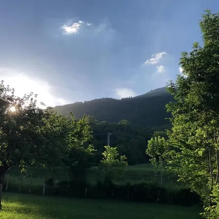 Il Pinguino D'oro Cergnai