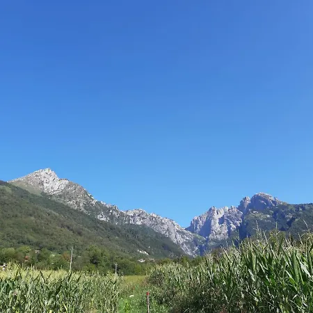Il Pinguino D'oro Bed & Breakfast 3*